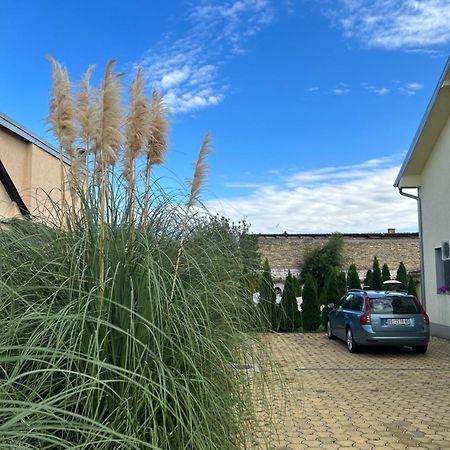 Nest Zen Garden Leilighet Novi Sad Eksteriør bilde