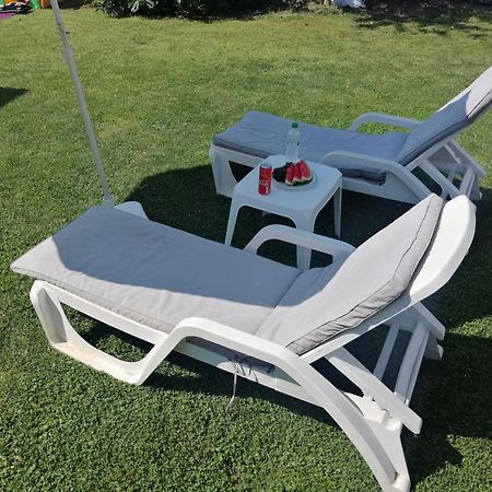 Nest Zen Garden Leilighet Novi Sad Eksteriør bilde