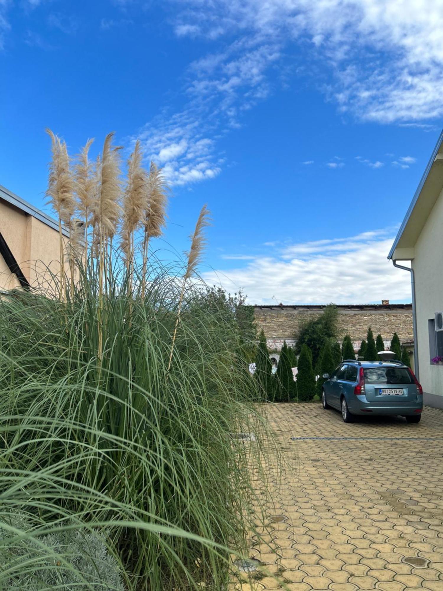Nest Zen Garden Leilighet Novi Sad Eksteriør bilde
