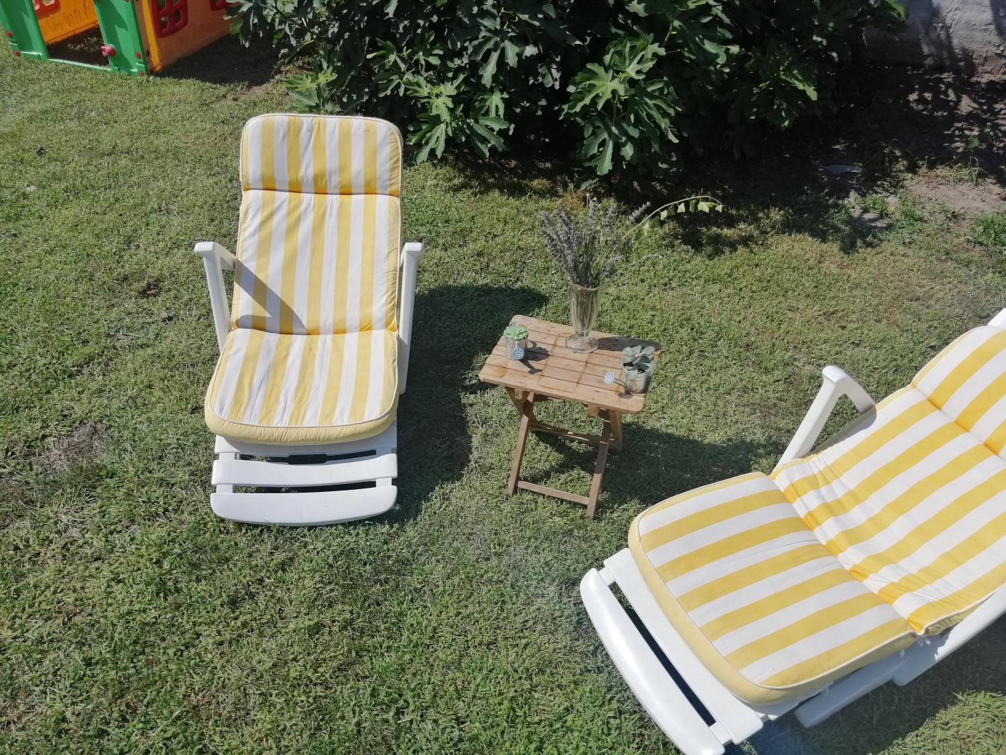 Nest Zen Garden Leilighet Novi Sad Eksteriør bilde